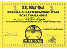 sito web